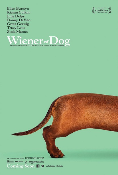 wiener_dog-167299722-large